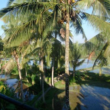 Toko Toko Bungalows Ubud Buitenkant foto